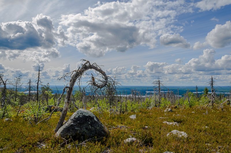 17-44-02-1650929018_13-vsegda-pomnim-com-p-gora-vottovaara-kareliya-foto-14.jpg