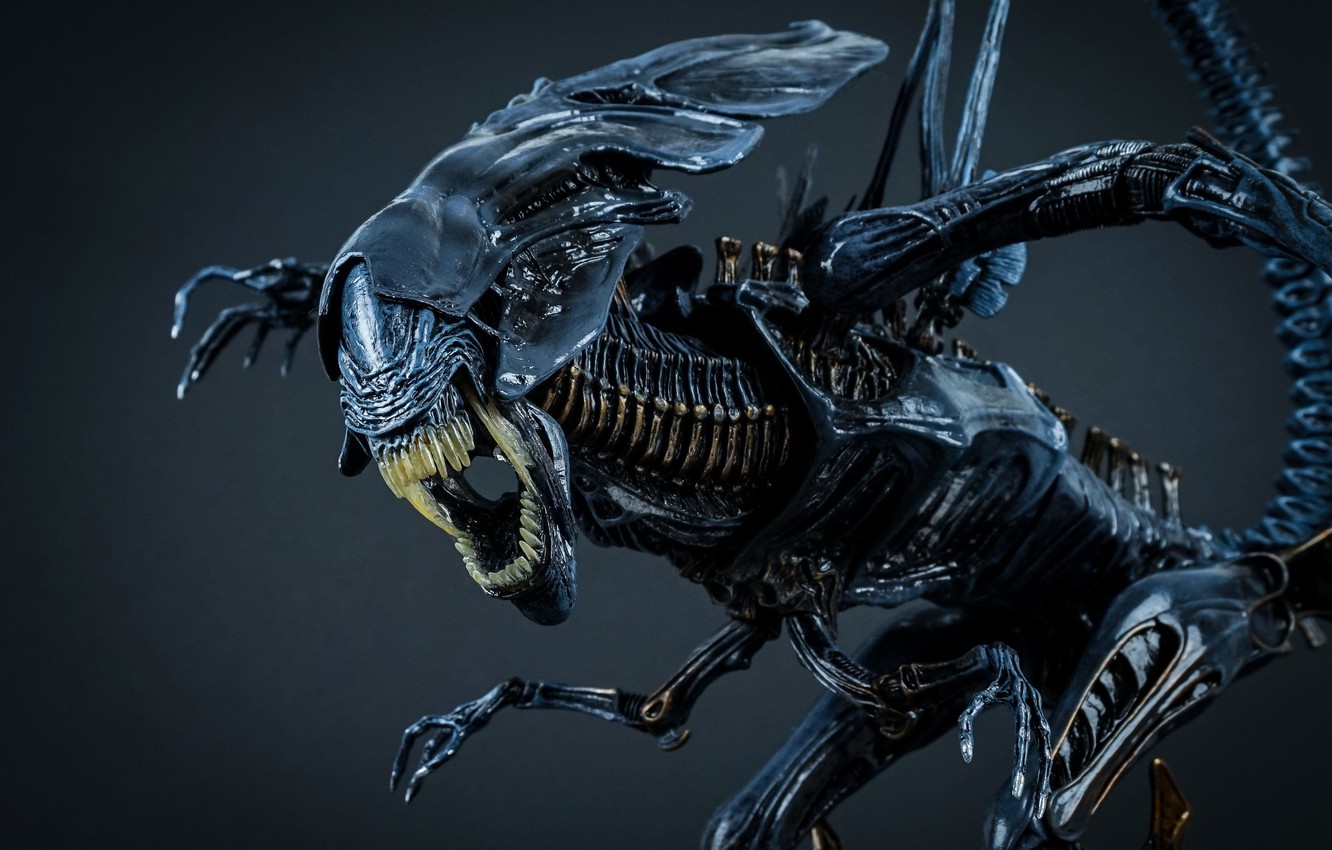 alien-king-maquette-chuzhoi-karol.jpg