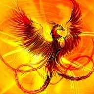 Phoenix Trinity