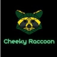 Сheeky raccoon