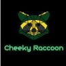 Сheeky raccoon